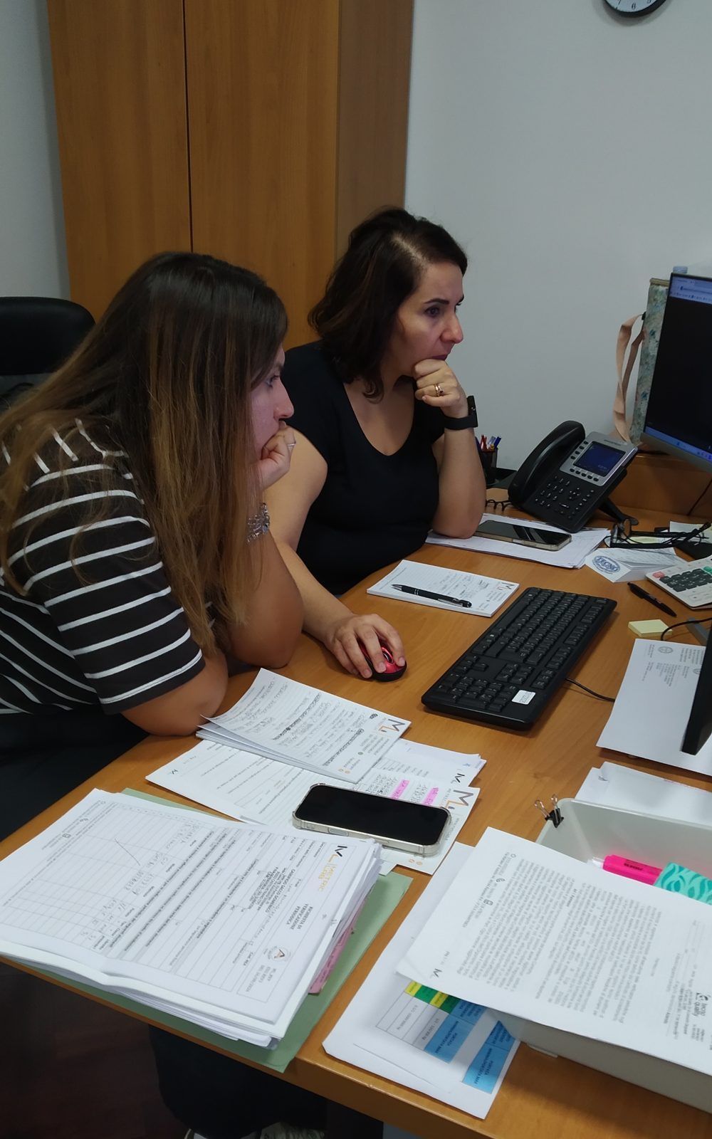Controllo della documentazione di verificazione periodica